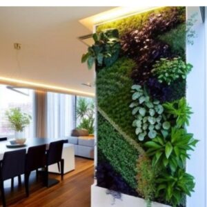 mech i rośliny na ścianie